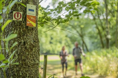 Kocher-Jagst-Trail: Wandern am Jagststeig