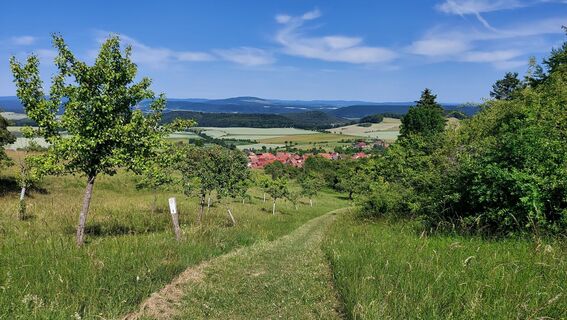 Foto von Wollomator entlang der Tour