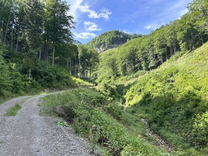 Foto von Christian Muehlbauer entlang der Tour