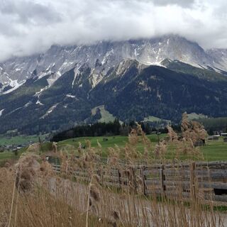 Photo de Henk de Vries le long du parcours
