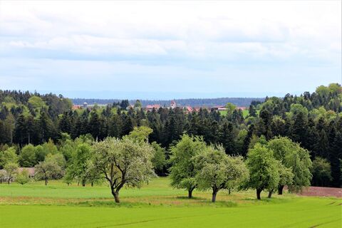 Aussicht auf Breitenberg