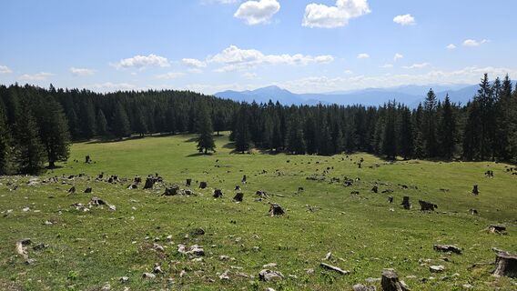 Foto de Peter Prüller a lo largo del recorrido