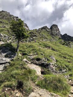 Fotografia z Rainer Pieper na trase