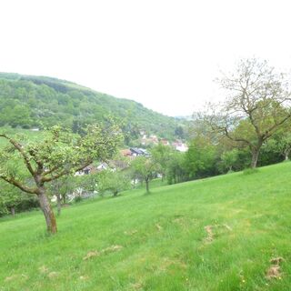 Blick auf Frankelbach