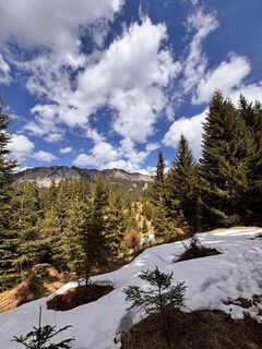 Fotografie z Alexis Sauter na trase