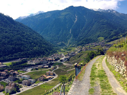 Rebterrassenwanderung in Martigny