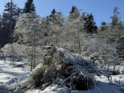 Фото с сайта Norbert Herbig во время экскурсии