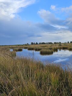 Foto von Angelika Gerung entlang der Tour