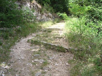 Rundgang des Camin Farrat0005 @CDRP34