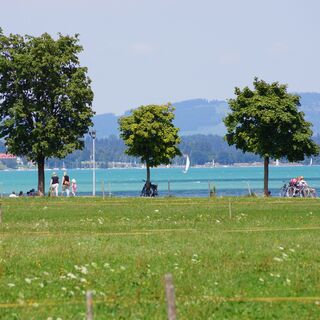 am Forggensee bei Brunnen