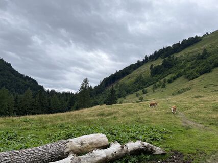 Foto von Heinz Sperl entlang der Tour