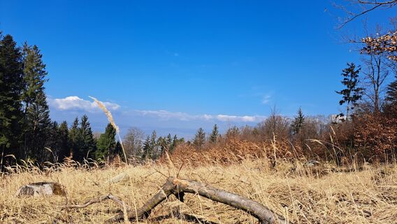 Photo de Anita Lunzer 1 le long du parcours