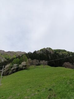 Foto von Aner entlang der Tour