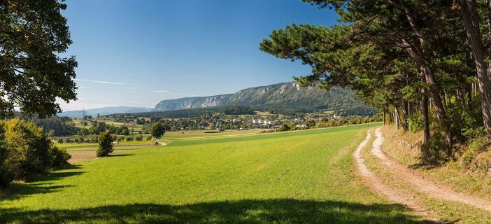Rotes Kreuz Markt Piesting
