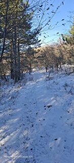 Zdjęcie z Davor  Umag City Croatia.?? wzdłuż trasy