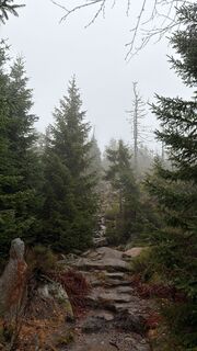 Fotografia z Nikolaus Ludwig 1 na trase