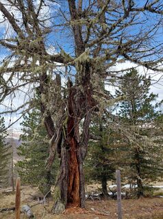 Fotografia z Ugo Olivotto na trase
