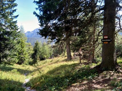 Photo de StojanovM le long du parcours