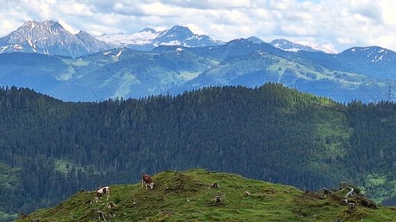 Fotografija s spletne strani Matej Mikus 1 na poti