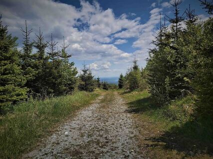 Am Gösser_Naturpark Almenland_Oststeiermark