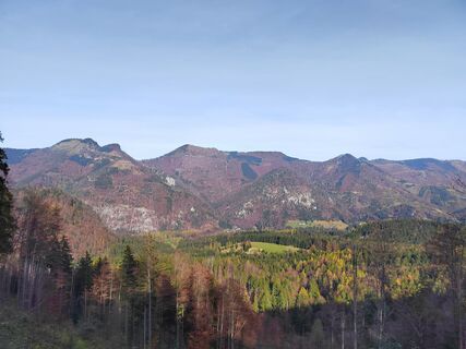 Fotografija s spletne strani ReginaSt na poti