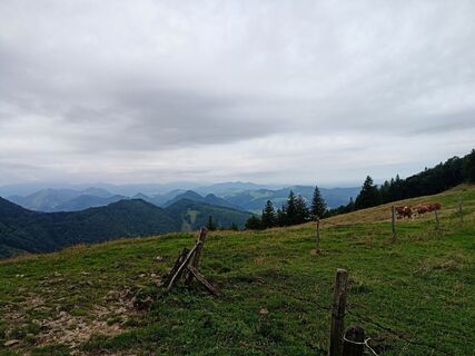 Fotografie de la Wanderkatze de-a lungul turului