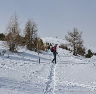 Aufstieg entlang der präparierten Spur