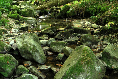 Romantische Hohwehraschlucht