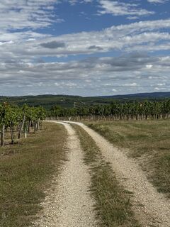 Foto de Andreas Haderer a lo largo del recorrido