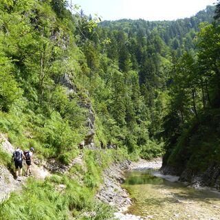 Zemljevid