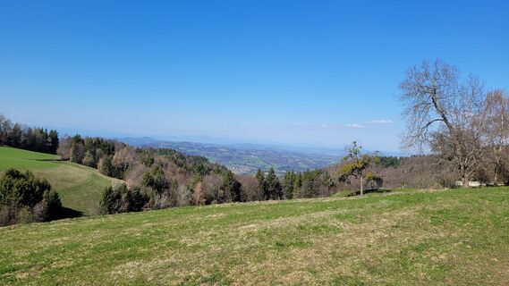 Fotografija s spletne strani Juliane Jarke na poti