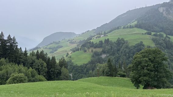 Foto von Mountain Cat ? ⛰️ entlang der Tour