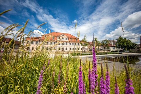 Bönnigheim