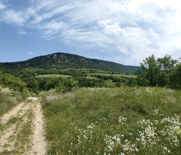 Kuva osoitteesta Annamária Bánki matkan varrella