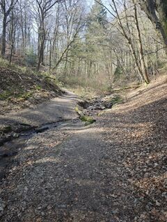 Photo de Björn Heun le long du parcours