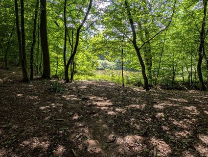 Fotografija s spletne strani Alfons Westbomke 1 na poti