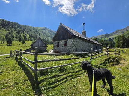 Fotografija s spletne strani MRDL na poti