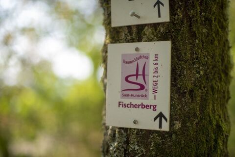 Naturschutzgebiet Wolferskopf
