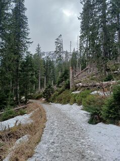 Photo de Daniel Kremiec le long du parcours