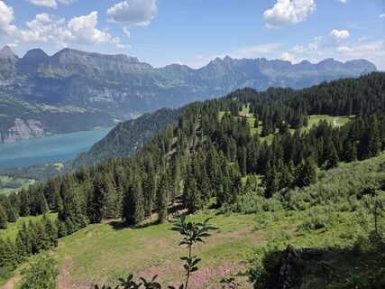 Foto von Jwemmenhove entlang der Tour