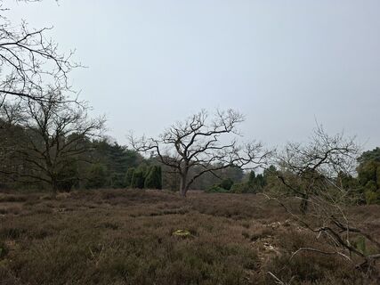 Photo de Keramiek le long du parcours