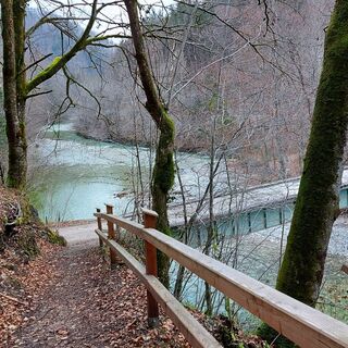 Im Tal des Holzes in der kalten Jahreszeit