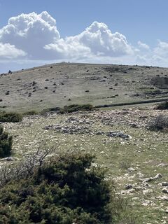 Photo de Daniel Vogel le long du parcours