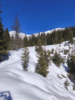 Obsteig, Tirol/Österreich
