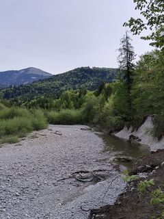 Fotografija s spletne strani Pinzger Petra ♀️?? na poti