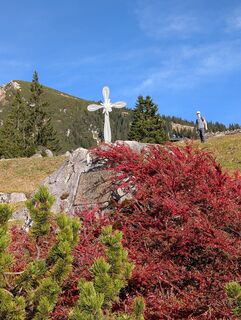 Foto da Pfefferam lungo il tour