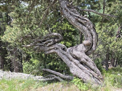 Photo de Thomi W le long du parcours