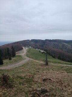 Foto von Daniel Kremiec entlang der Tour