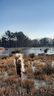 Foto von Enkidu55 entlang der Tour