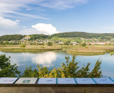 klingnauer-stausee-aussicht